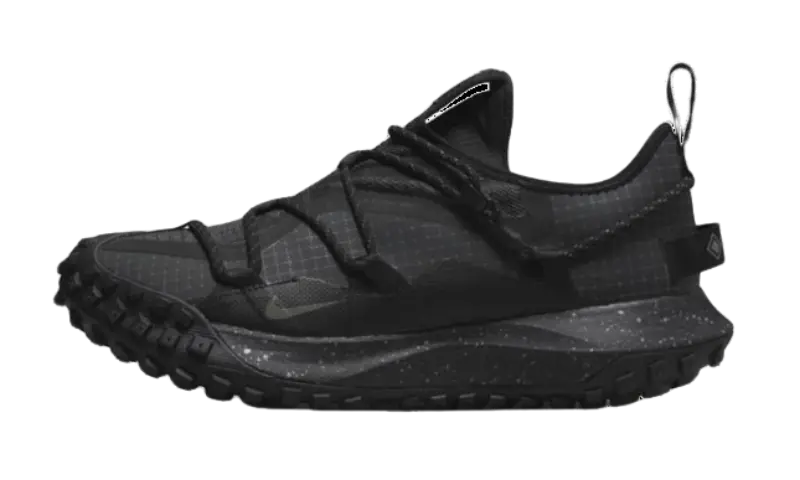 Nike ACG Mountain Fly Low Gore-Tex SE Dark Smoke Grey - MTHOR SHOP