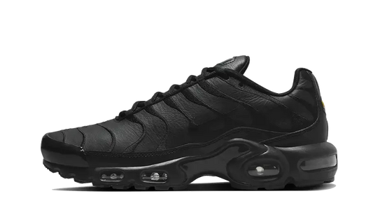 Nike Air Max Plus Triple Black Leather  AJ2029-001 MTHOR SHOP