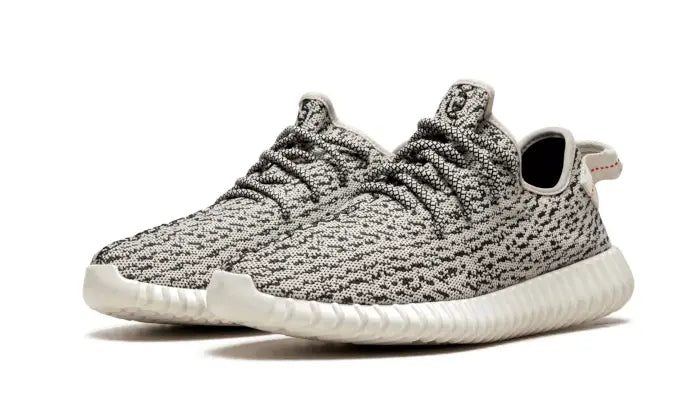 Yeezy Boost 350 Turtledove