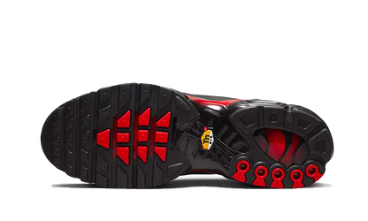 Nike Air Max Plus Bred Reflective